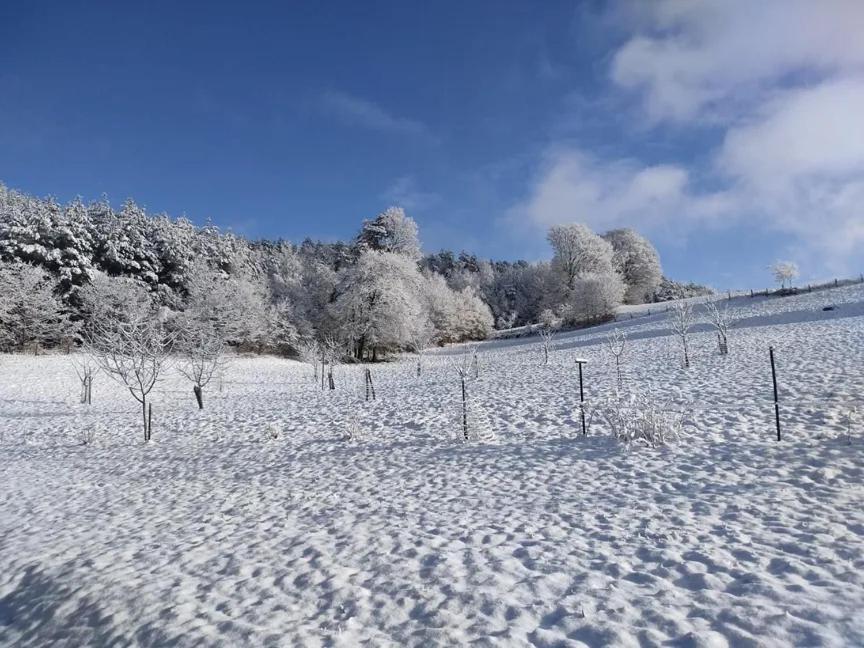 Charmant Gite, Au Calme, Avec Vue Imprenable Sur La Nature Environnante Deycimont Exterior foto